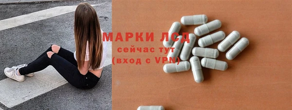 spice Богородицк