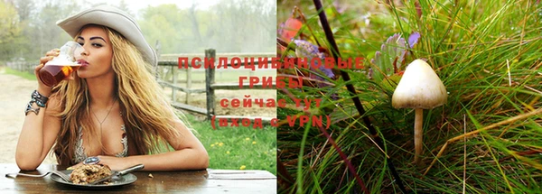 spice Богородицк