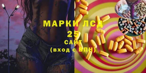 spice Богородицк