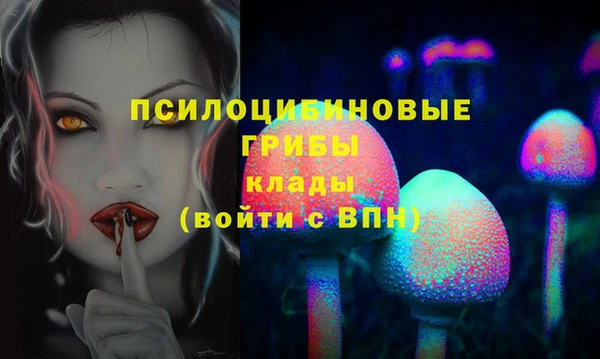 метамфетамин Богданович