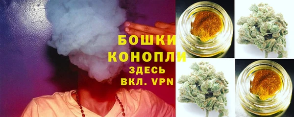 spice Богородицк