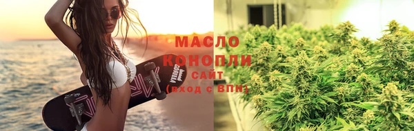 spice Богородицк