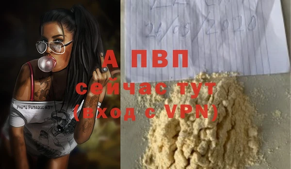 spice Богородицк